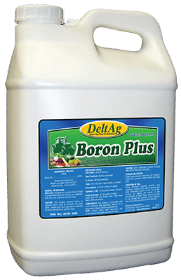 Boron Plus (5 GAL)
